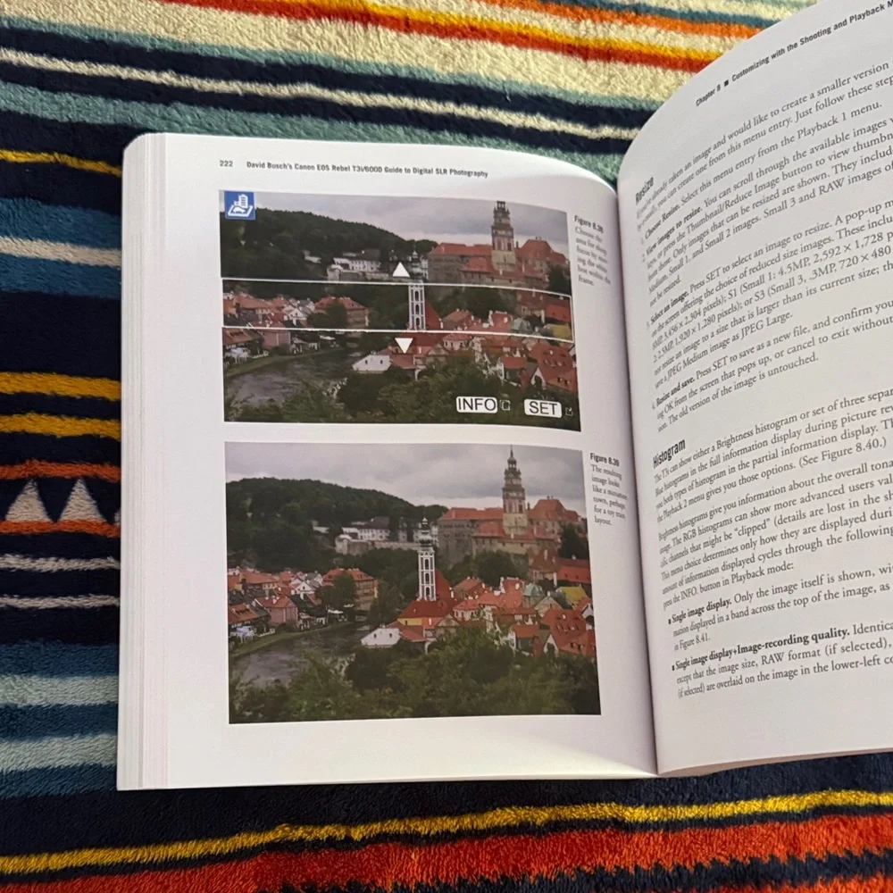 David Busch's Canon EOS Rebel T3i/600D Guide to Digital SLR Photography Book